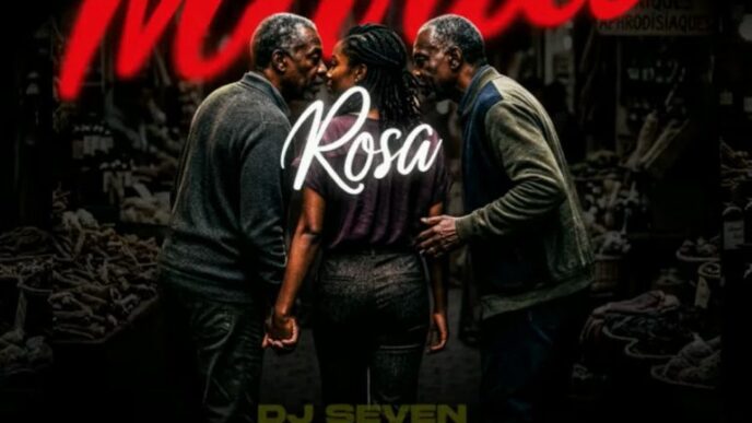 DJ Seven Maria Rosa cover art