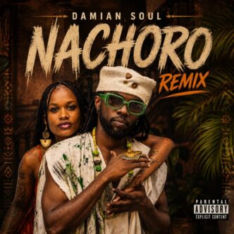 Damian Soul Nachoro Remix cover art
