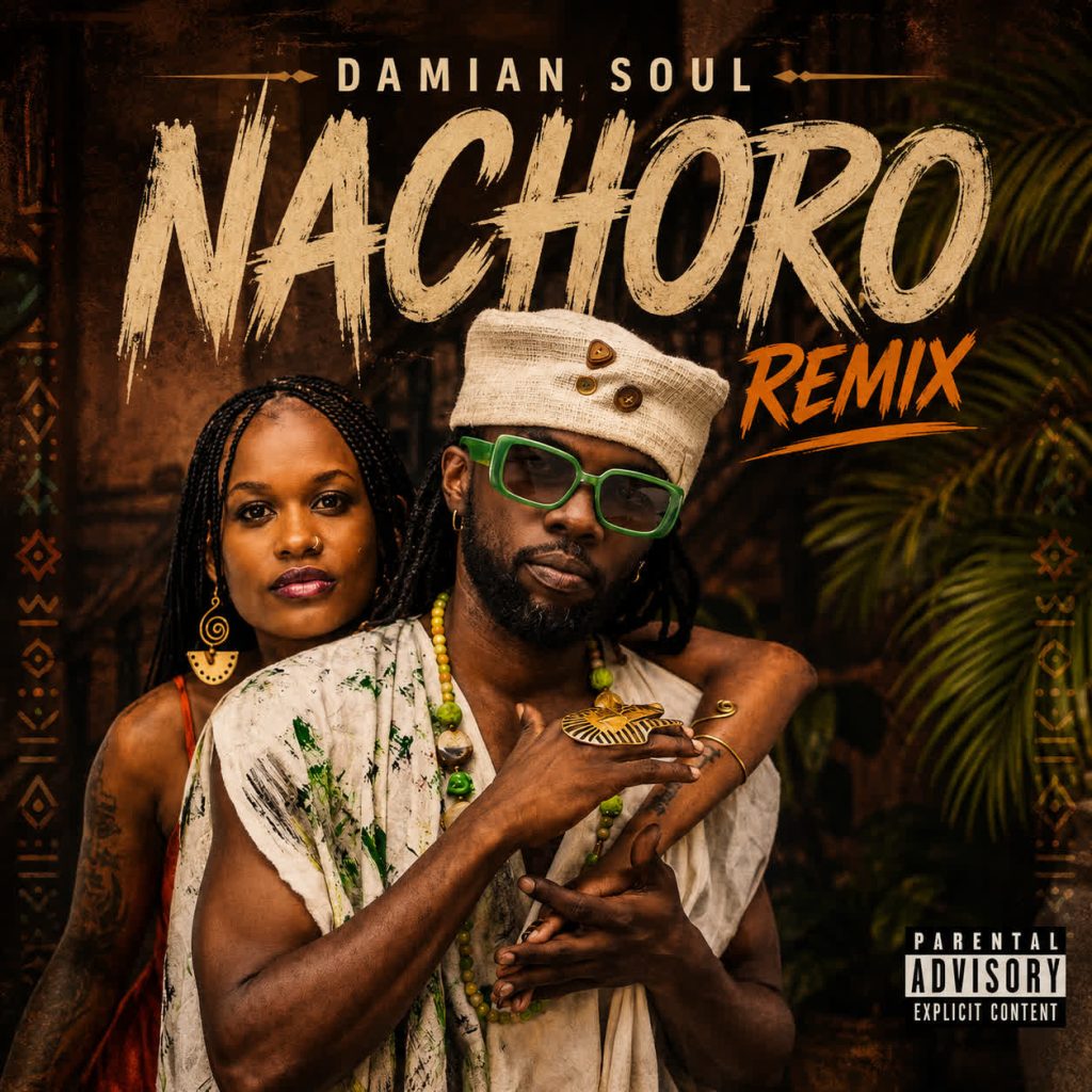 Damian Soul Nachoro Remix cover art