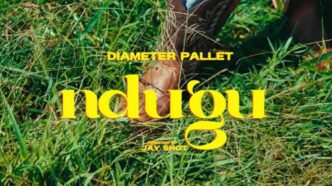 Diameter Pallet Ndugu song cover art