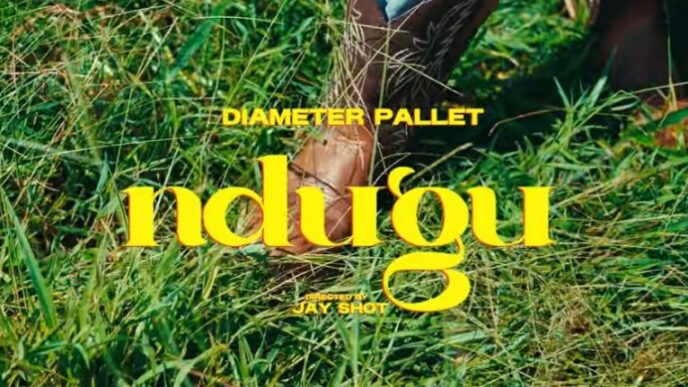 Diameter Pallet Ndugu song cover art