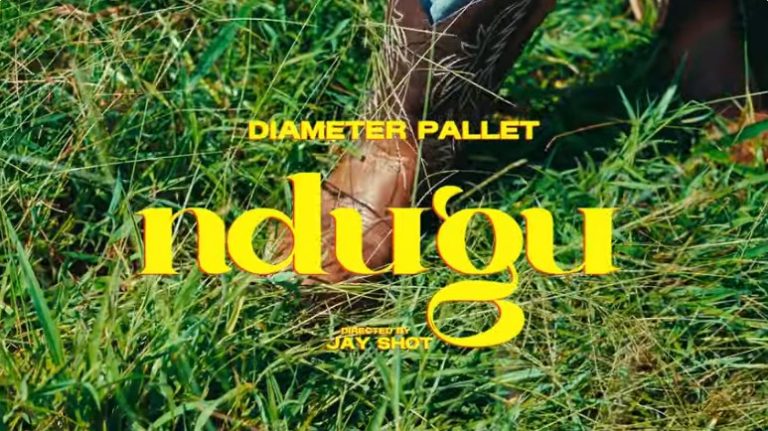 Diameter Pallet Ndugu song cover art