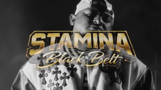Stamina Black Belt cover art