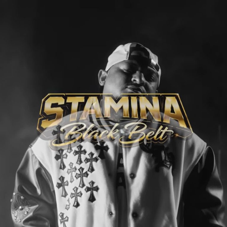 Stamina Black Belt cover art