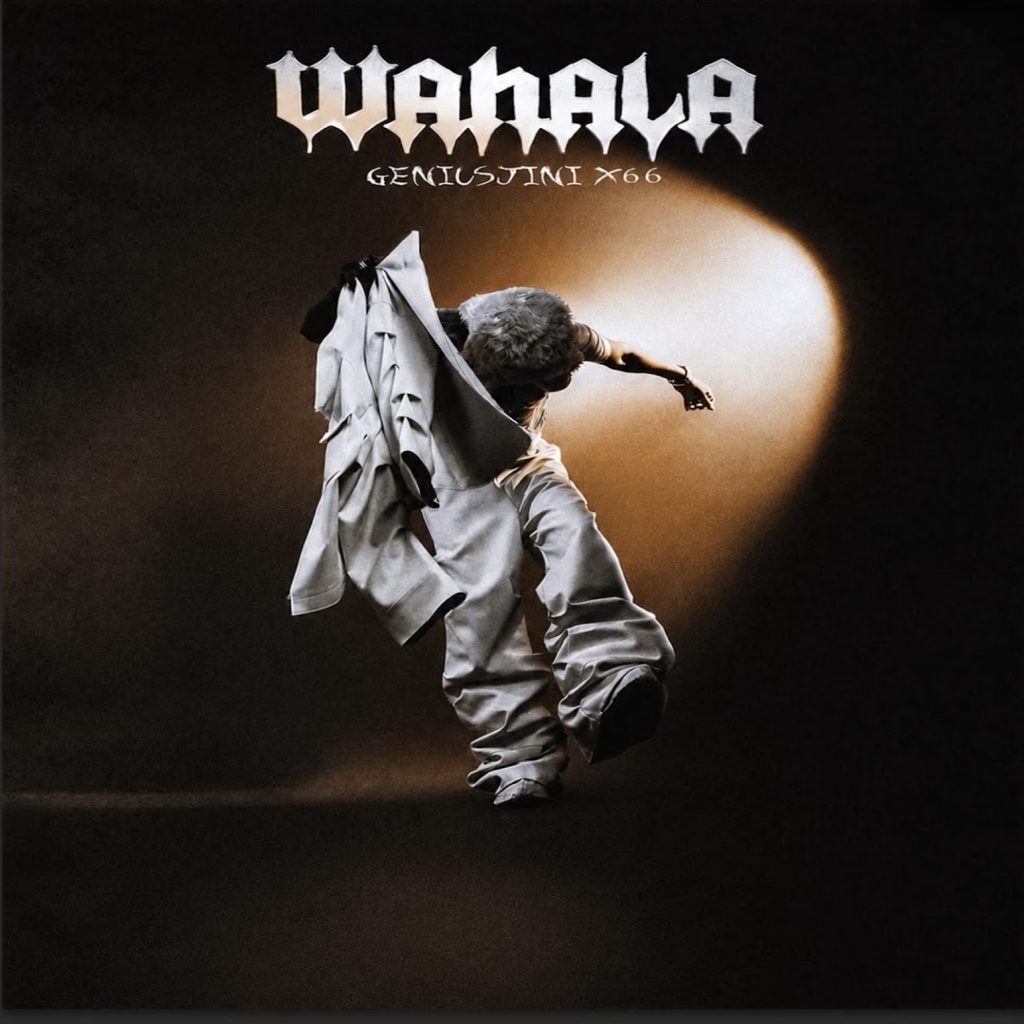 GeniusJini x66 – Wahala MP3 Download | Latest Afro Fusion Song
